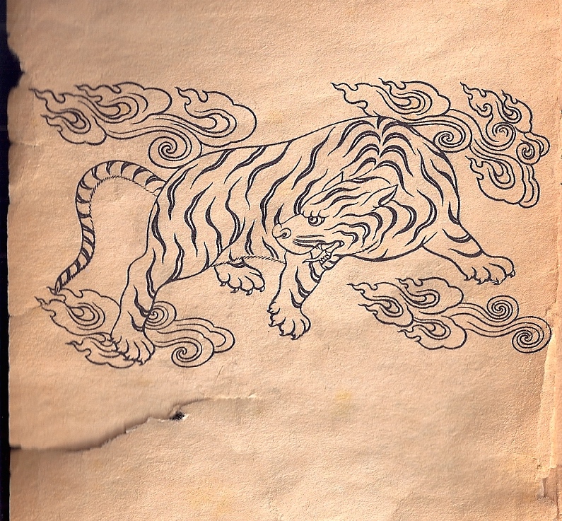 Tibetan-tiger